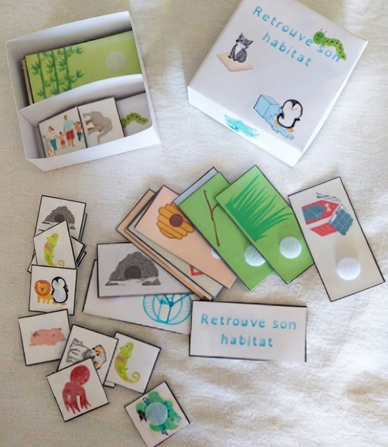 Cartes de jeu illustrant différents habitats avec animaux à scratcher motricité fine écosystèmes association tactile